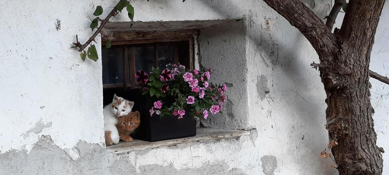 Luech Da Morgnun Villa San Vigilio Di Marebbe Luaran gambar